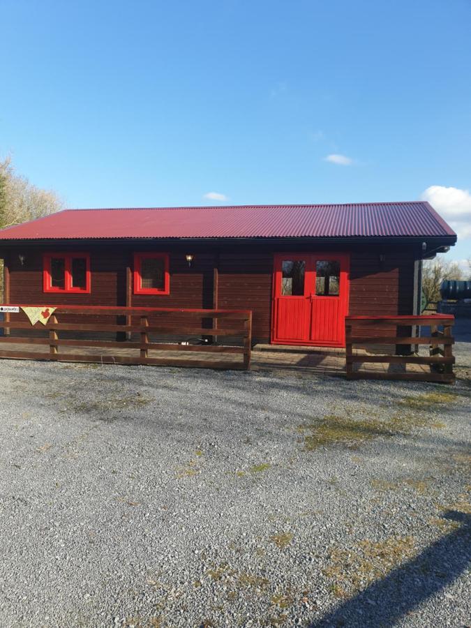 Red Squirrel Lodge Galway Exterior photo